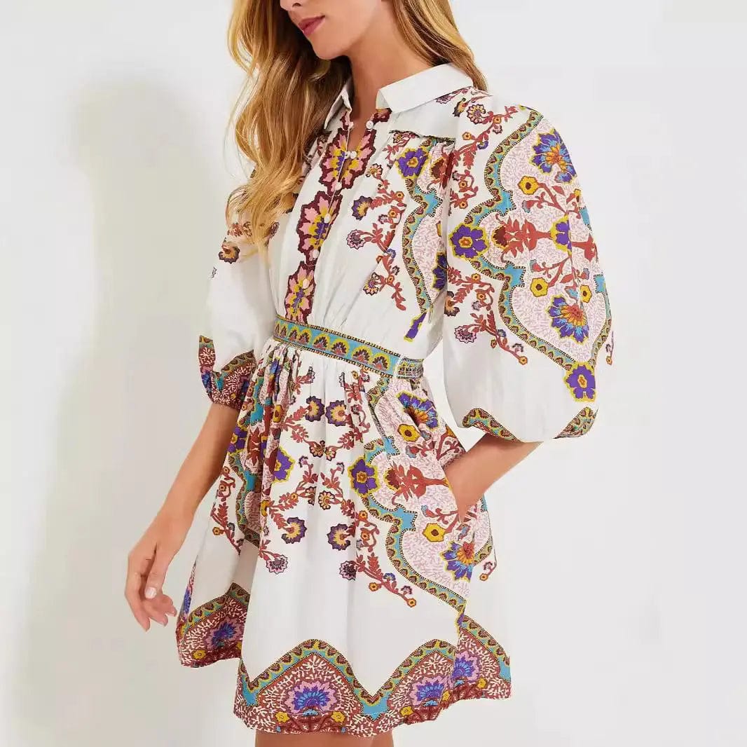 Saboor store  European dress And American Autumn Ethnic Print Pocket Dress